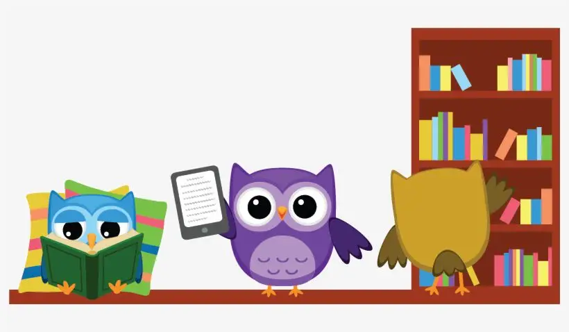 drawing of 3 little owls by bookcase