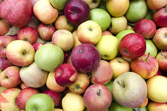 many different variesties of apples
