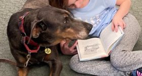 Read to therapy dog