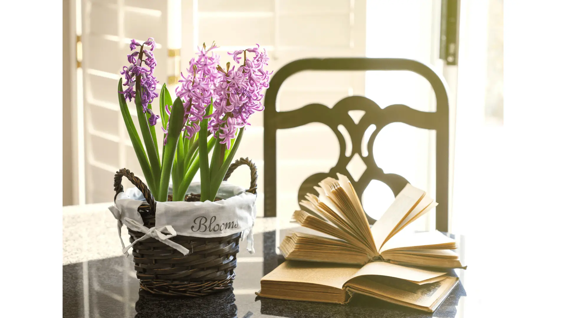 Curbside Service | Wickliffe Public Library