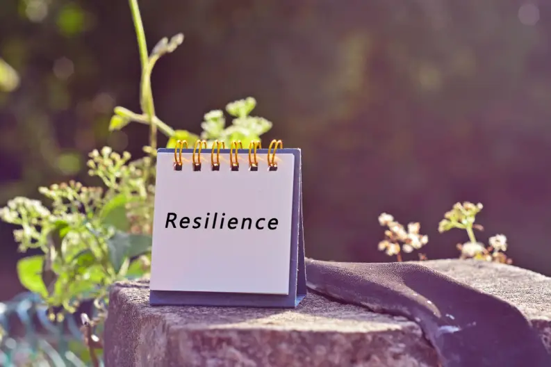 word resilience written in notebook on a rock surrounded by nature