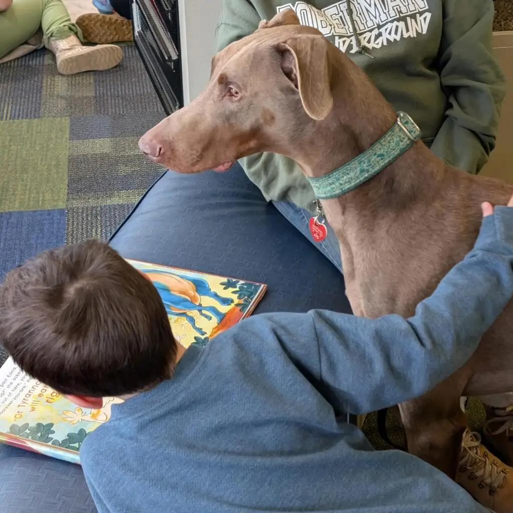 boy reading to a dog