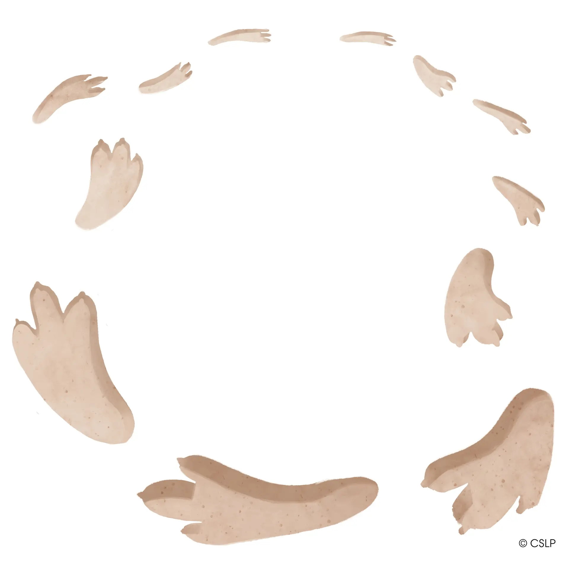 Dino Footprints Adventure: Follow the Trail! | Wickliffe Public
