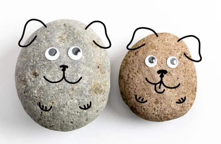 pet rocks: 2 dogs