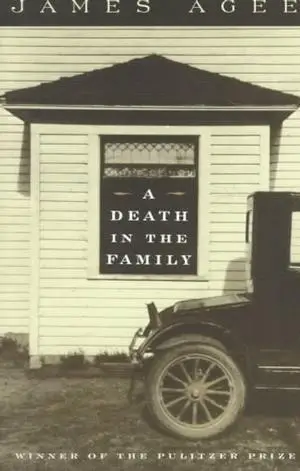 cover of A Death in the Family
