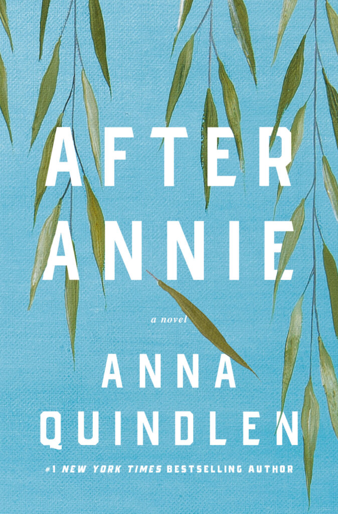 cover of After Annie